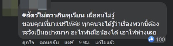 แมวกินทุเรียน แมวกินทุเรียน