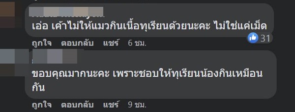 แมวกินทุเรียน แมวกินทุเรียน
