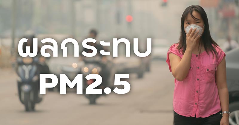 ฝุ่นPM2.5 ฝุ่นPM2.5