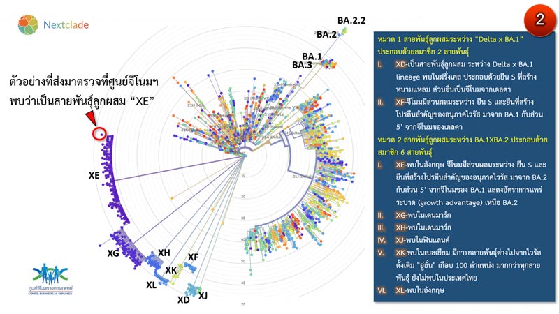 โควิด 19 สายพันธุ์ XE โควิด 19 สายพันธุ์ XE