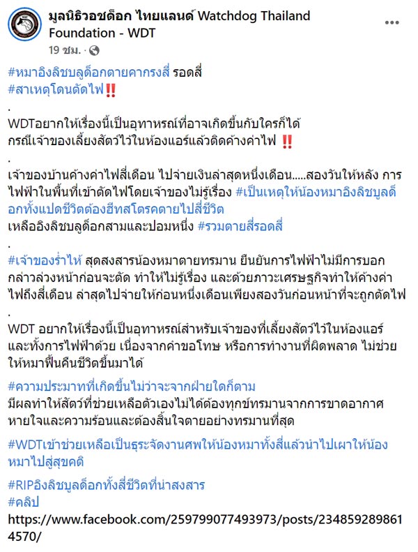 บ้านถูกตัดไฟจนหมาตาย บ้านถูกตัดไฟจนหมาตาย