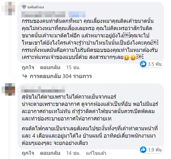 บ้านถูกตัดไฟจนหมาตาย บ้านถูกตัดไฟจนหมาตาย