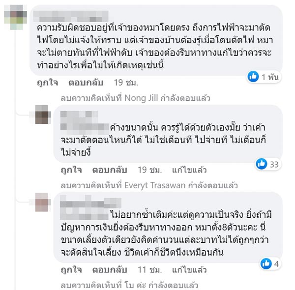บ้านถูกตัดไฟจนหมาตาย บ้านถูกตัดไฟจนหมาตาย