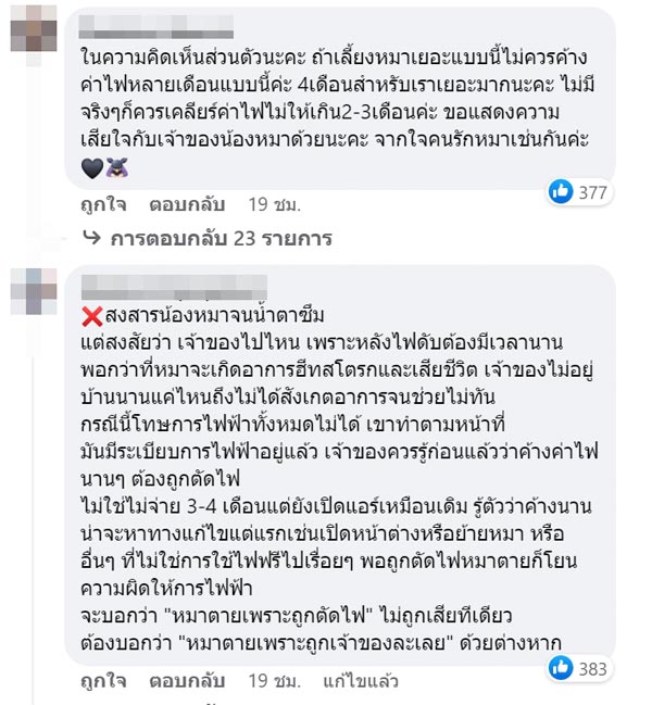 บ้านถูกตัดไฟจนหมาตาย บ้านถูกตัดไฟจนหมาตาย