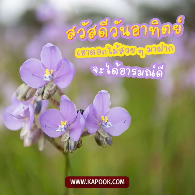 ดูดวงรายวัน 23 ตุลาคม 2565 ดูดวงรายวัน 23 ตุลาคม 2565