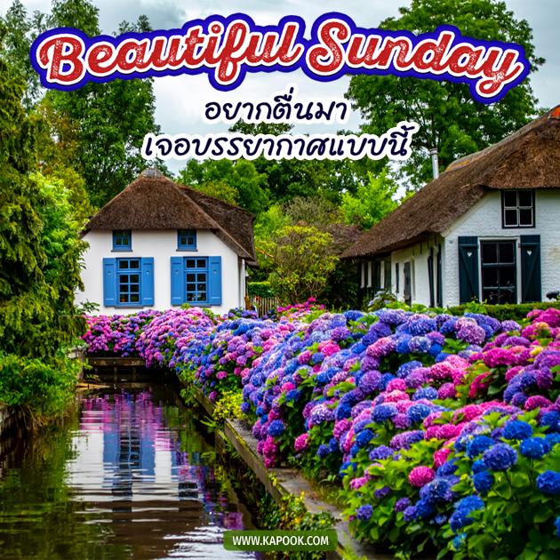 ดูดวงรายวัน 16 มกราคม 2565 ดูดวงรายวัน 16 มกราคม 2565