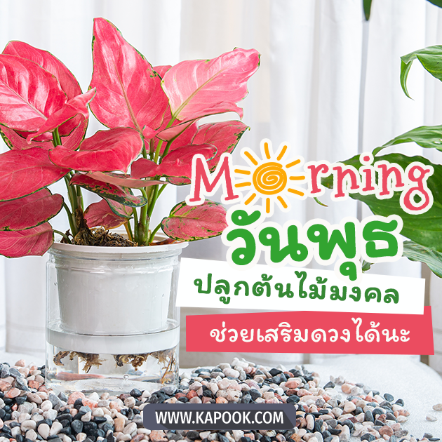 ดูดวงรายวัน 13 กรกฎาคม 2565 ดูดวงรายวัน 13 กรกฎาคม 2565