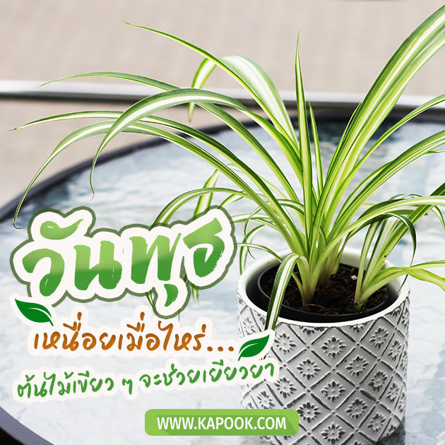 ดูดวงรายวัน 13 เมษายน 2565 ดูดวงรายวัน 13 เมษายน 2565