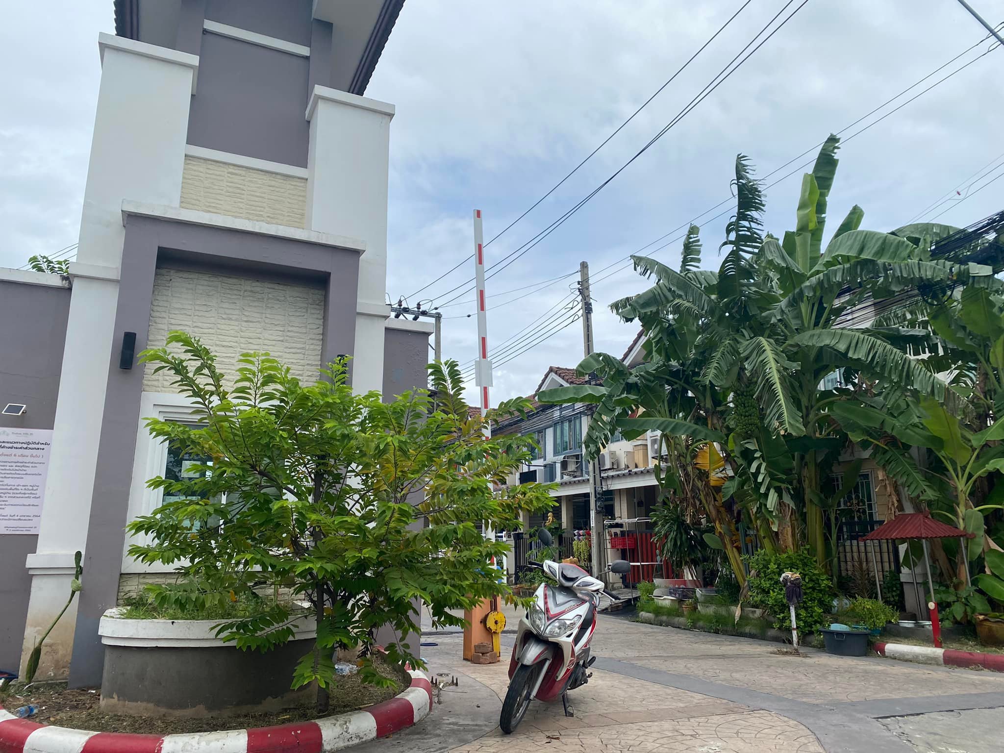 หมาหาย หมาหาย