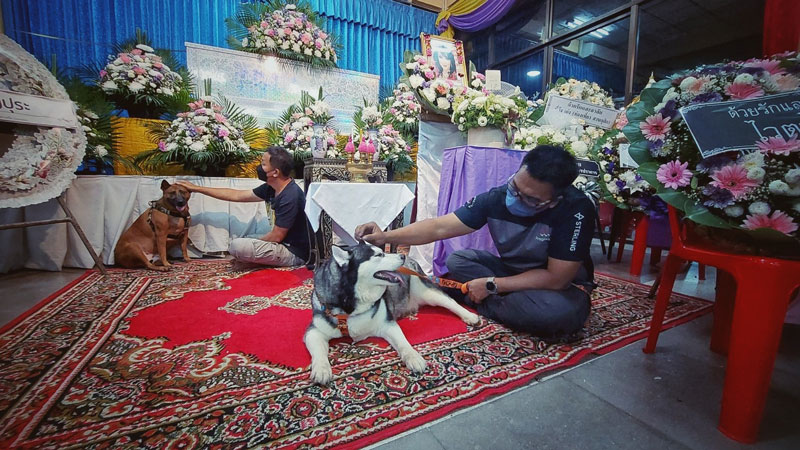 ซันนี่ ยูโฟร์ งานศพ ซันนี่ ยูโฟร์ งานศพ