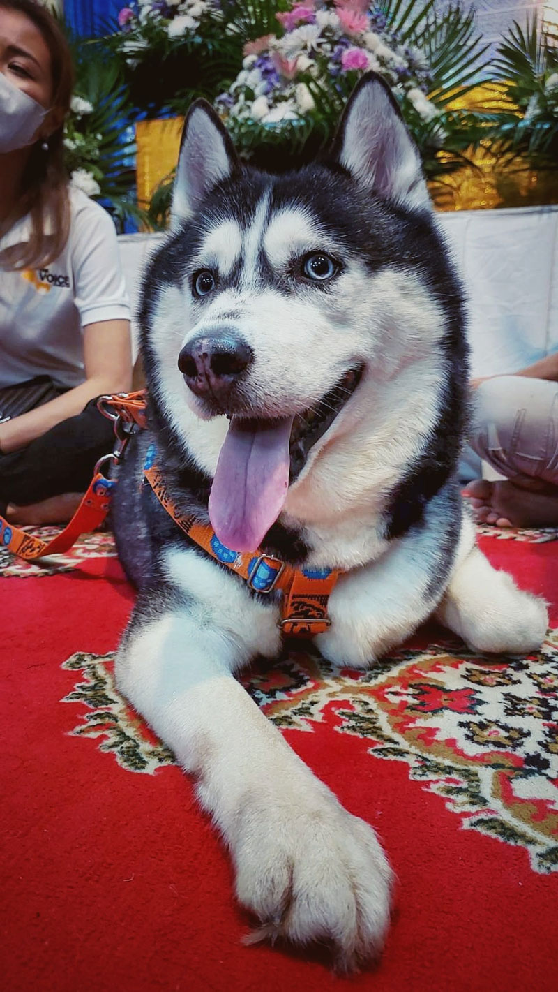 ซันนี่ ยูโฟร์ งานศพ ซันนี่ ยูโฟร์ งานศพ