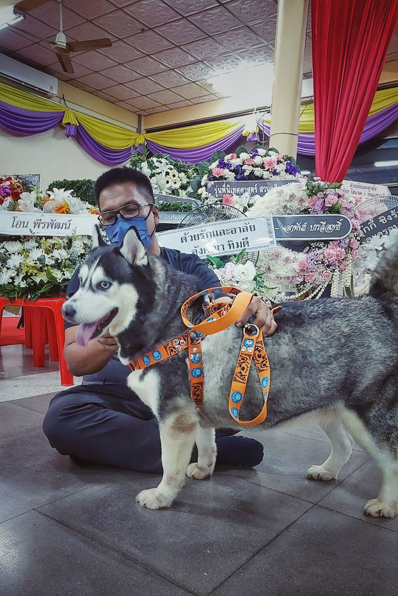 ซันนี่ ยูโฟร์ งานศพ ซันนี่ ยูโฟร์ งานศพ