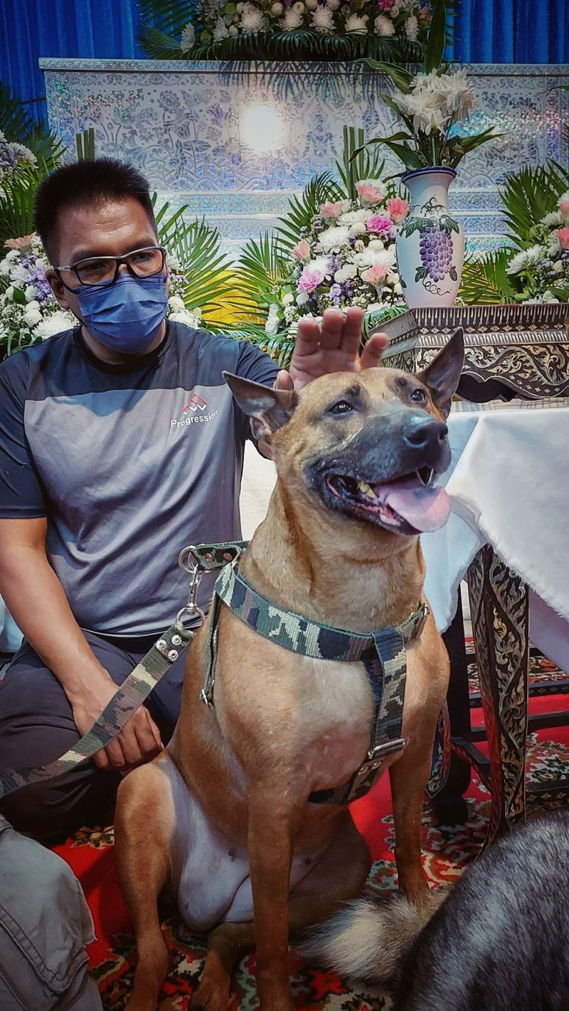 ซันนี่ ยูโฟร์ งานศพ ซันนี่ ยูโฟร์ งานศพ