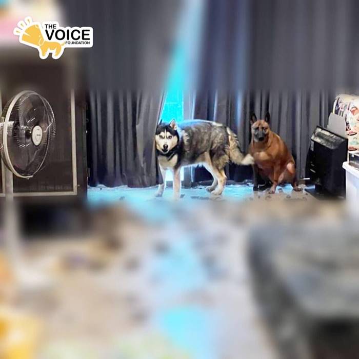 ซันนี่ ยูโฟร์ งานศพ ซันนี่ ยูโฟร์ งานศพ