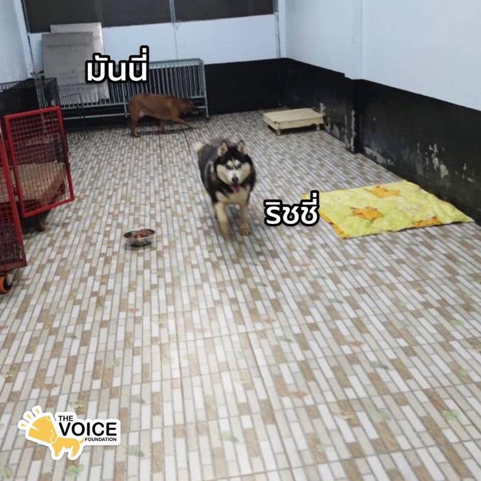 ซันนี่ ยูโฟร์ งานศพ ซันนี่ ยูโฟร์ งานศพ