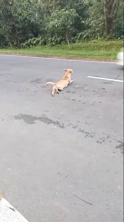 ดูจบ เช็ดน้ำตาแทบไม่ทัน ! ดูจบ เช็ดน้ำตาแทบไม่ทัน !