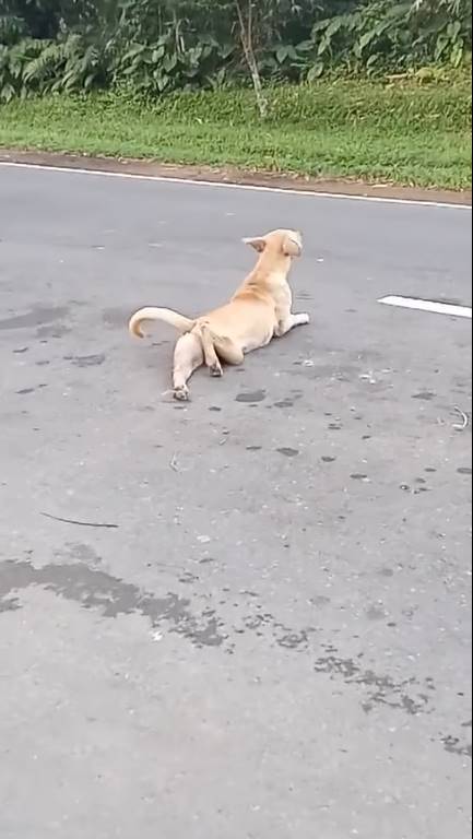 ดูจบ เช็ดน้ำตาแทบไม่ทัน ! ดูจบ เช็ดน้ำตาแทบไม่ทัน !