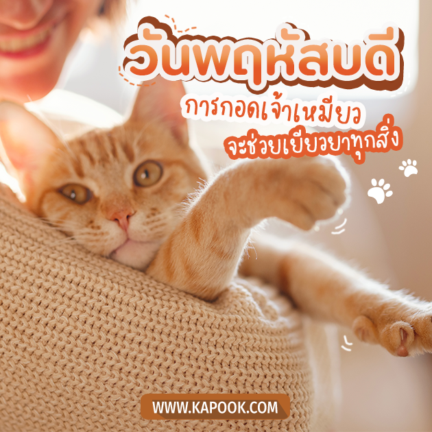 ดูดวงรายวัน วันที่ 14 กรกฎาคม 2565 ดูดวงรายวัน วันที่ 14 กรกฎาคม 2565