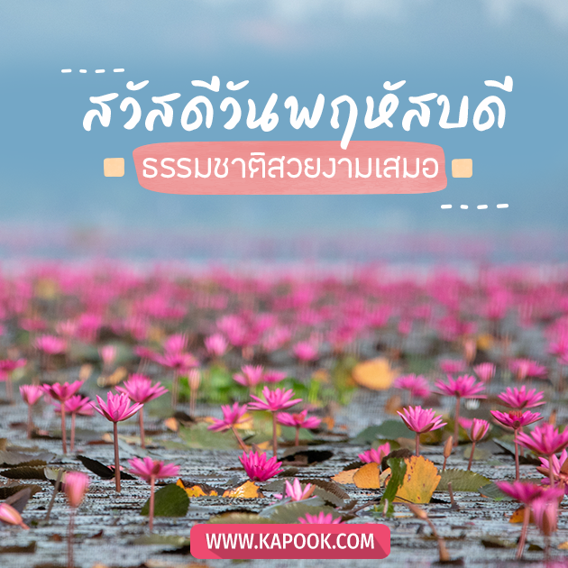 ดูดวงรายวัน วันที่ 21 กรกฎาคม 2565 ดูดวงรายวัน วันที่ 21 กรกฎาคม 2565