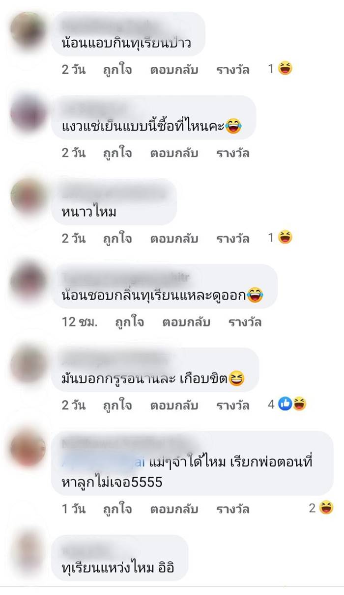 ทาสแมว ทาสแมว