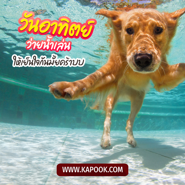 ดูดวงรายวัน วันที่ 3 เมษายน 2565 ดูดวงรายวัน วันที่ 3 เมษายน 2565
