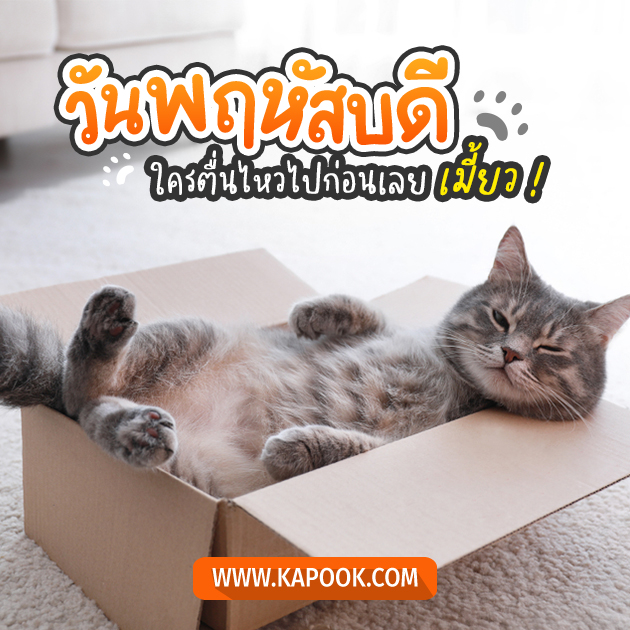 ดูดวงรายวัน วันที่ 31 มีนาคม 2565 ดูดวงรายวัน วันที่ 31 มีนาคม 2565
