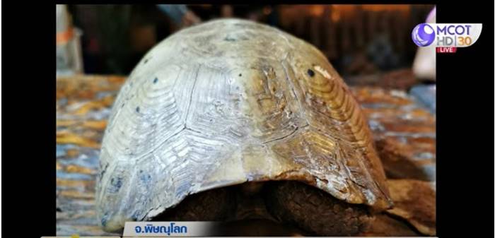 เลขเด็ดงวดนี้ เลขเด็ดงวดนี้