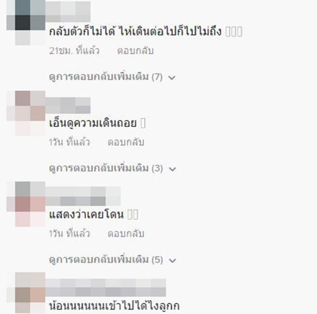 หมาแสนรู้ หมาแสนรู้