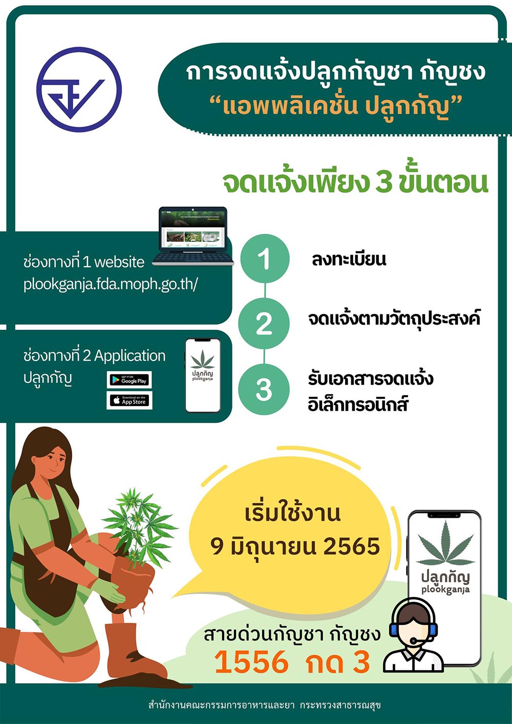 กัญชา กัญชา