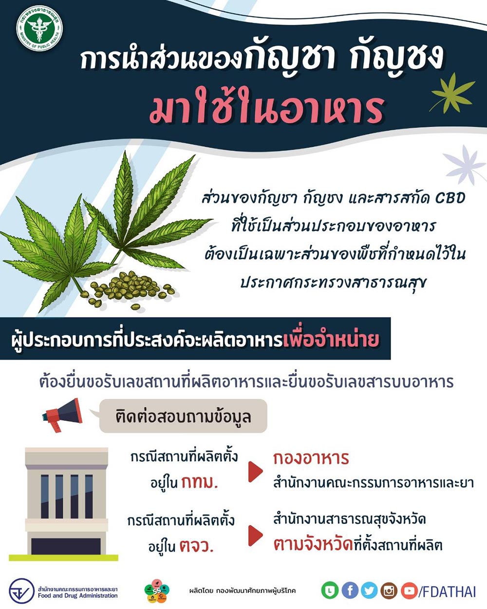 กัญชา กัญชา