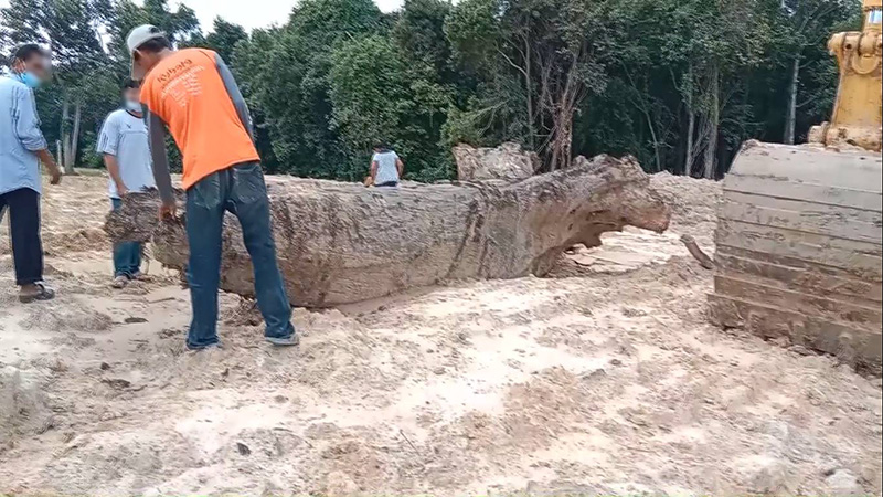 ตะเคียนยักษ์จมก้นอ่างเก็บน้ำ ทำยังไงก็เอาขึ้นไม่ได้ ตะเคียนยักษ์จมก้นอ่างเก็บน้ำ ทำยังไงก็เอาขึ้นไม่ได้