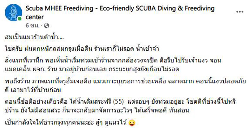 เจ้าเหมียวหนีน้ำท่วม เจ้าเหมียวหนีน้ำท่วม