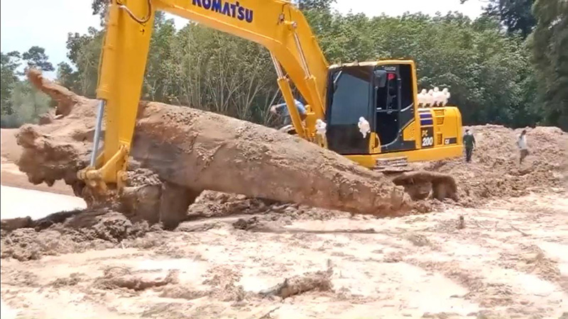 ตะเคียนยักษ์จมก้นอ่างเก็บน้ำ ทำยังไงก็เอาขึ้นไม่ได้ ตะเคียนยักษ์จมก้นอ่างเก็บน้ำ ทำยังไงก็เอาขึ้นไม่ได้