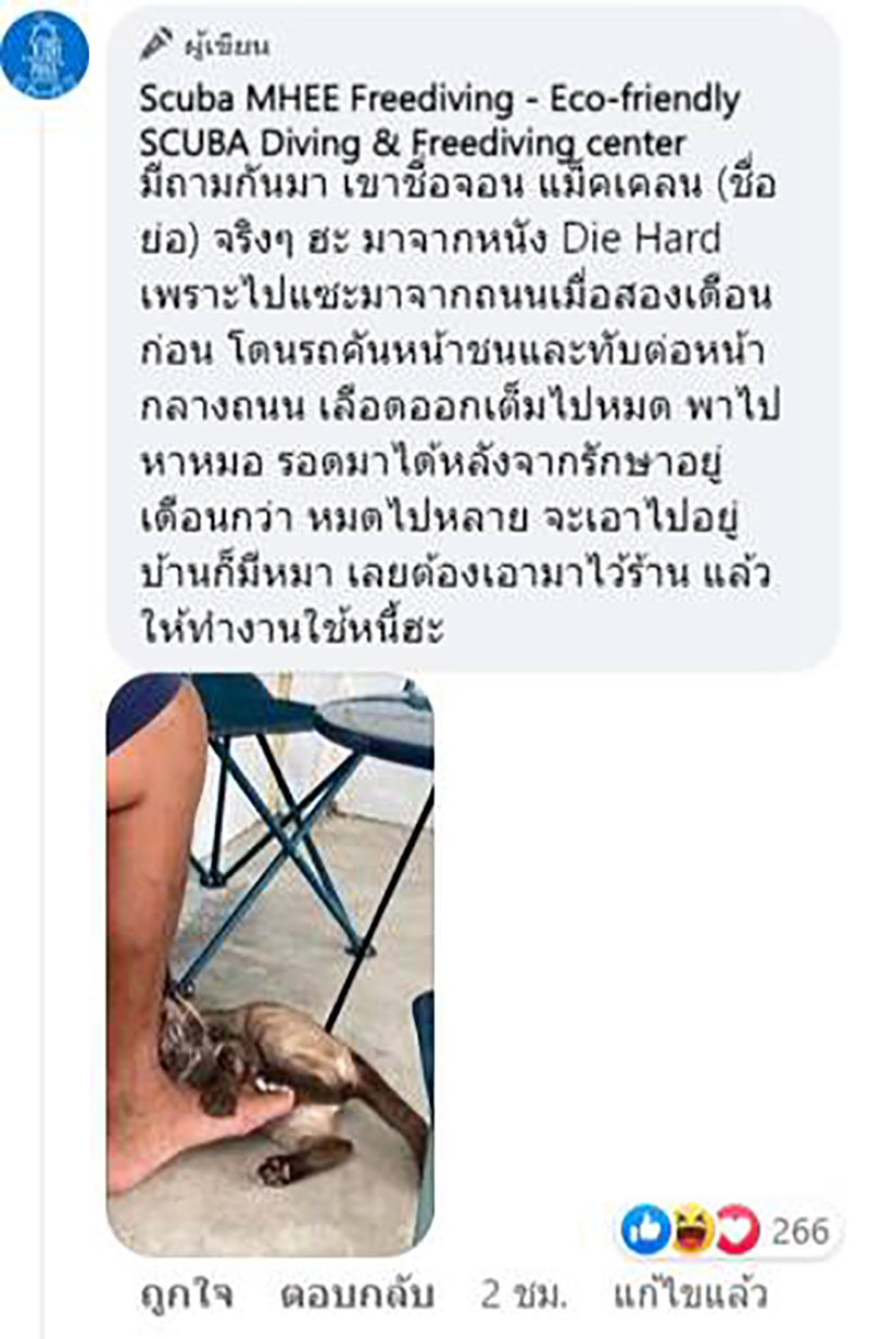 เจ้าเหมียวหนีน้ำท่วม เจ้าเหมียวหนีน้ำท่วม