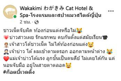 2 เหมียว ถือฤกษ์ดีแต่งงาน 2 เหมียว ถือฤกษ์ดีแต่งงาน