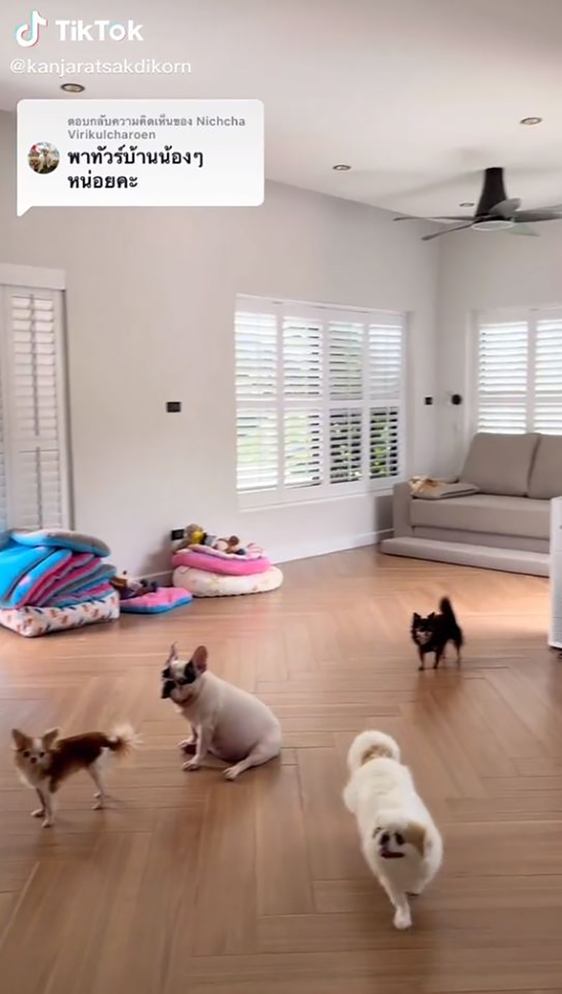 เจ้าของคลั่งรัก พาทัวร์บ้านที่สร้างเพื่อลูก เจ้าของคลั่งรัก พาทัวร์บ้านที่สร้างเพื่อลูก