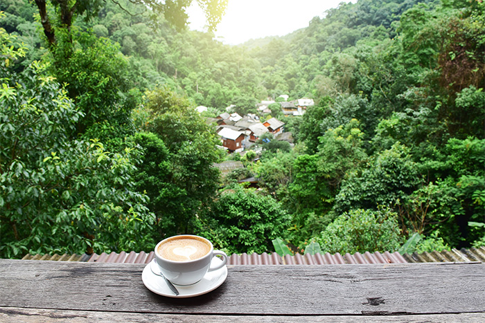 ร้านกาแฟแม่กำปอง ร้านกาแฟแม่กำปอง