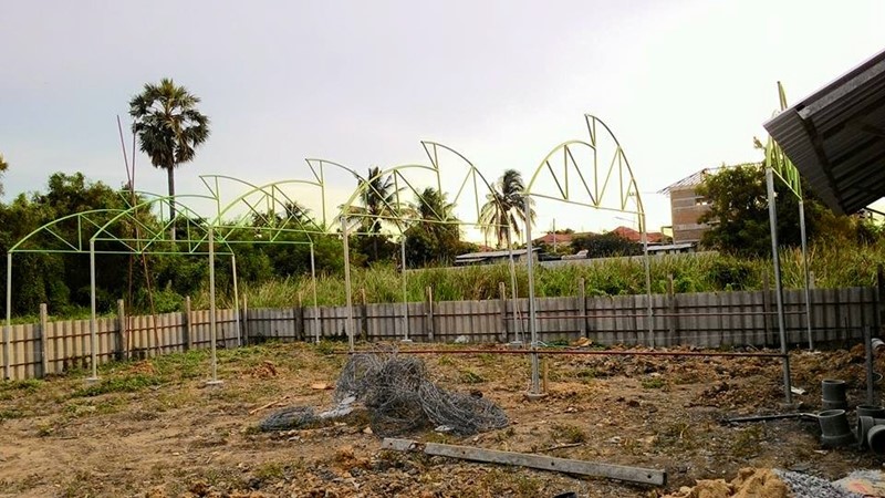 การปลูกเมลอนในโรงเรือน การปลูกเมลอนในโรงเรือน