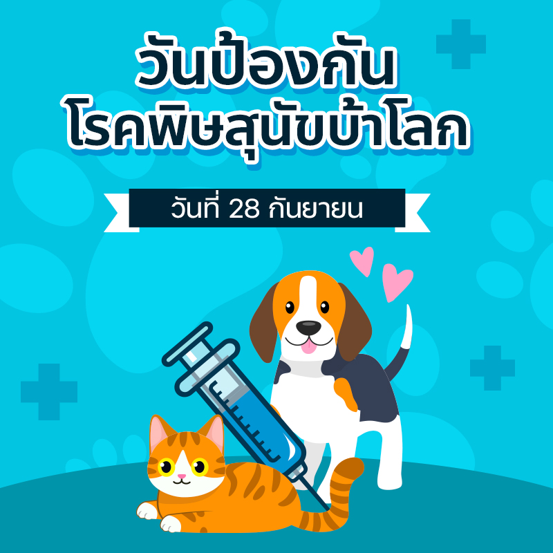 วันป้องกันโรคพิษสุนัขบ้าโลก วันป้องกันโรคพิษสุนัขบ้าโลก