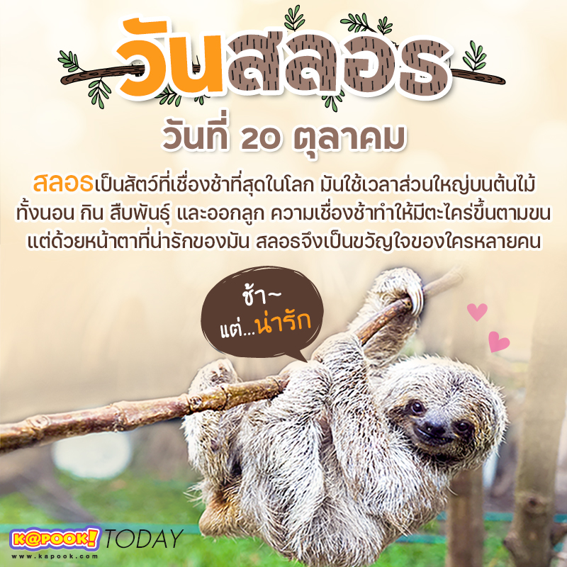 สลอธ สลอธ