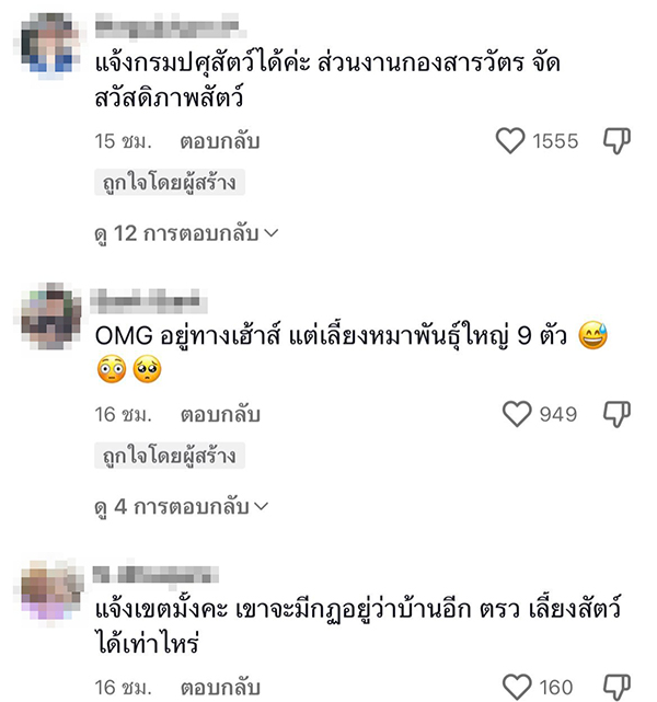 ดราม่า เพื่อนบ้านเลี้ยงไซบีเรียนเป็นฝูง ดราม่า เพื่อนบ้านเลี้ยงไซบีเรียนเป็นฝูง