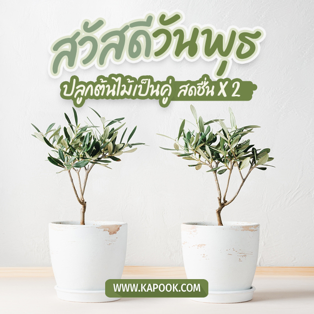 ดูดวงรายวัน ดูดวงรายวัน