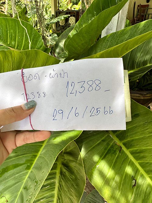 หวย อ.ไม้เอก เลขนาคา 1/7/66 วัดสมบูรณาราม