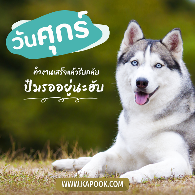 ดูดวงรายวัน ดูดวงรายวัน