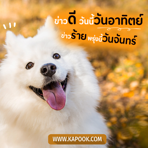 ดูดวงรายวัน ดูดวงรายวัน