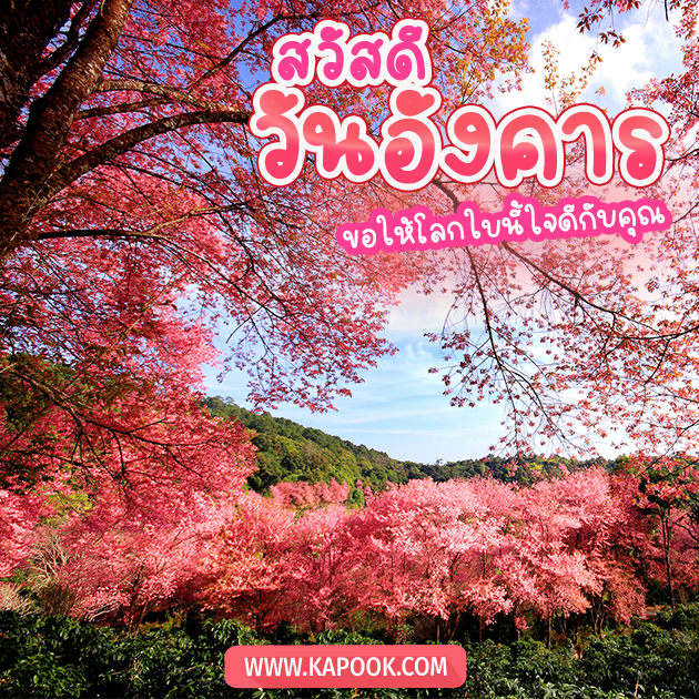 ดูดวงรายวัน ดูดวงรายวัน
