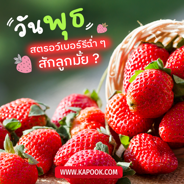ดูดวงรายวัน ดูดวงรายวัน