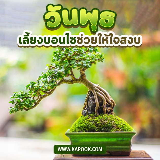 ดูดวงรายวัน ดูดวงรายวัน