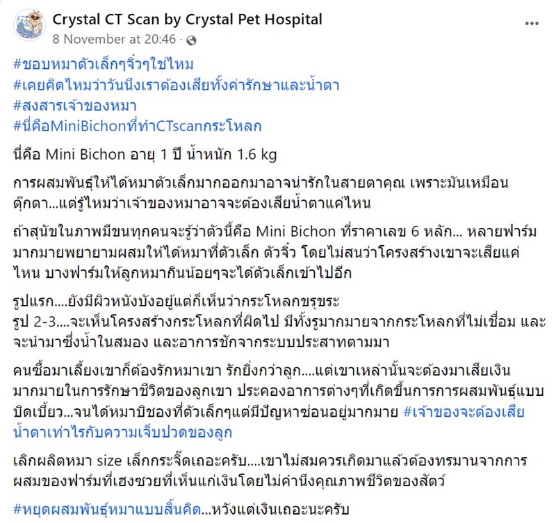 สุนัขพันธุ์เล็ก สุนัขพันธุ์เล็ก