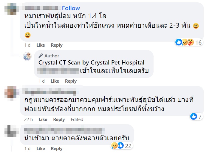 สุนัขพันธุ์เล็ก สุนัขพันธุ์เล็ก